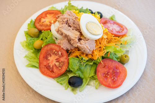 Horizontal shot of plate with salad. The ingredients are lettuce, bonito, egg, carrot, tomato and olives