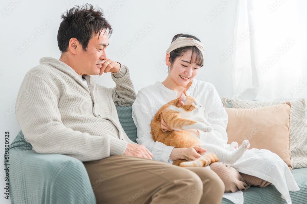 家で猫を飼うカップル・夫婦(飼い主)
家で猫を飼うカップル・夫婦(飼い主)