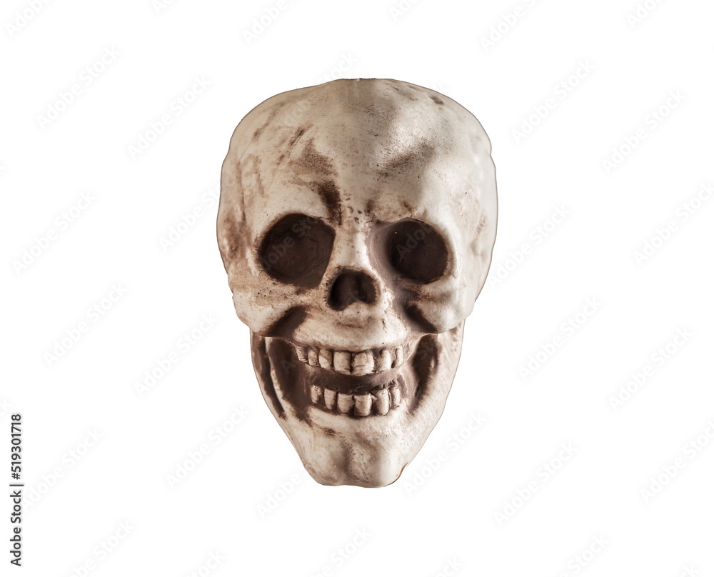 Front view of human skull isolated on white background. Halloween holiday or medical education concept. High quality photo Front view of human skull isolated on white background. Halloween holiday or medical education concept. High quality photo