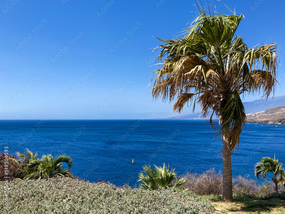 Botanical tropical city park of Puerto de la Cruz, Tenerife, Canary Islands, Spain