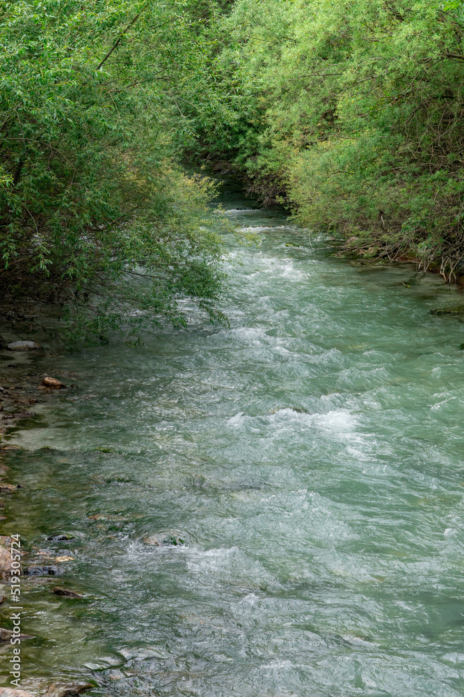 Stream in the forest Stream in the forest