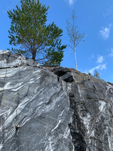 Marble rock wall in an Italian quarry with a trees on top of it