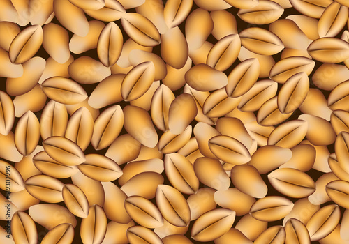 Fondo de granos de trigo. Cereal