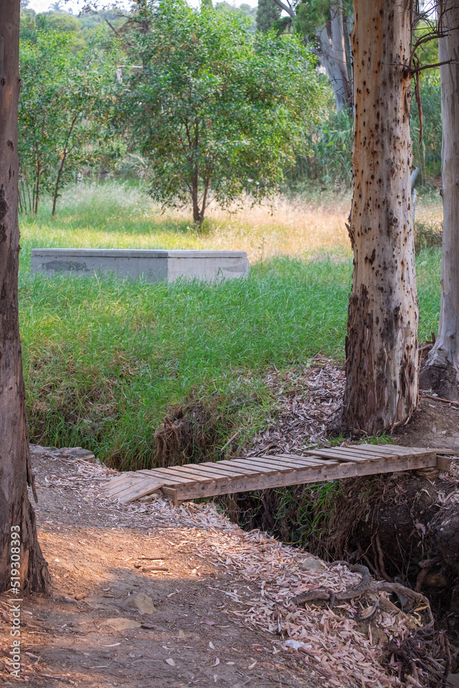 Wooden bridges over small streams for walking along forest paths
