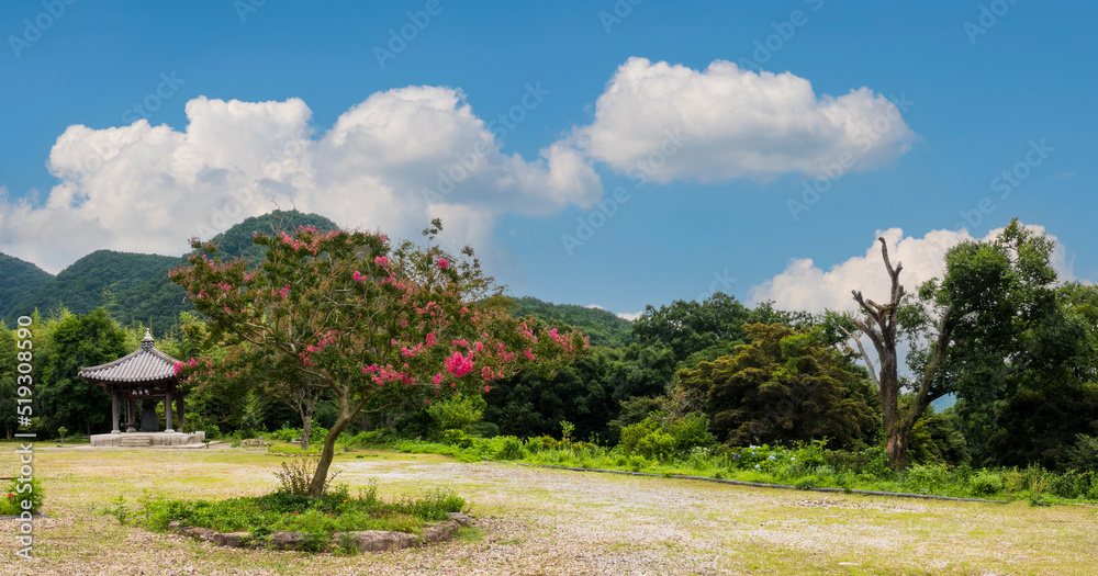 여름철에 고풍스런 한옥 주변에 피는 붉은 배롱나무(백일홍) 꽃.
