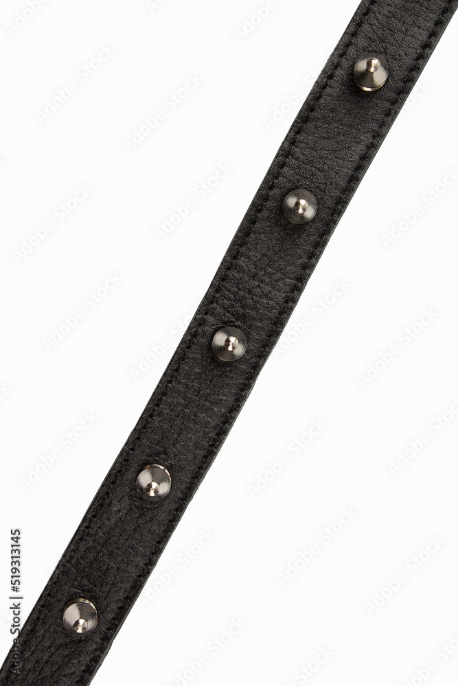 Selective focus black belt with spikes on a white background, close up with no shadows. Black belt with metal spikes for erotic games. Dressed around the neck. Isolate. Place for text Selective focus black belt with spikes on a white background, close up with no shadows. Black belt with metal spikes for erotic games. Dressed around the neck. Isolate. Place for text