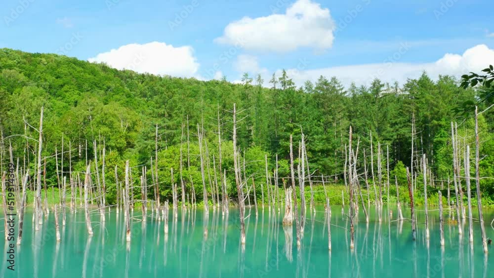 北海道 青い池 北海道 青い池