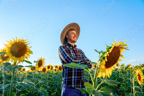 Fototapeta side view of Happy lucky young farmer with arms crossed stands in his field with sunflowers