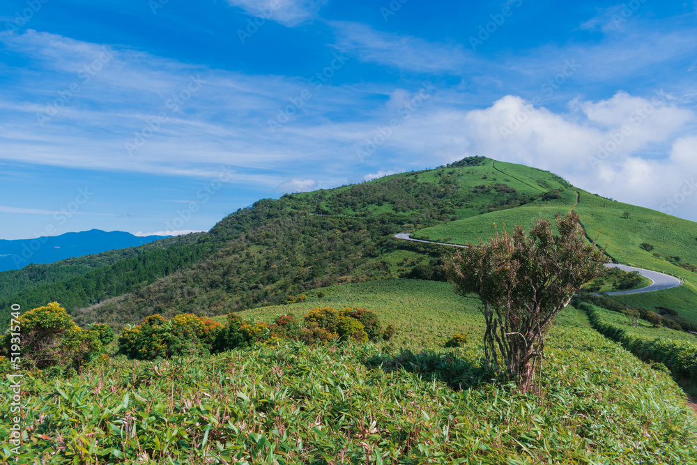 夏の伊豆半島　高原のトレッキングコースから見る風景