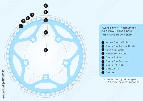Vector bicycle infographic: Calculate the diameter of a chainring from the number of teeth