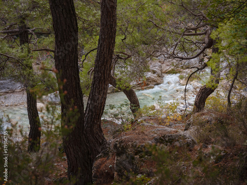 travel to Turkey, Kemer in autumn seasone. famous part of Lycian Way, Goynuk Canyon. Wonderful morning scene of Turkey, Asia. Beauty of nature concept background.