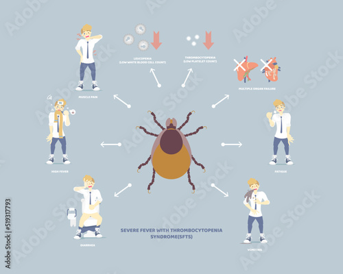 severe fever with thrombocytopenia syndrome (sfts) with tick and symptoms concept, flat character design clip art vector illustration cartoon sign logo photo