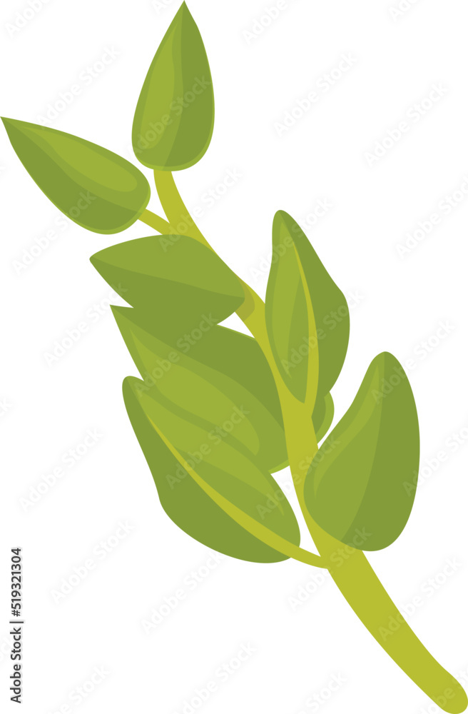 Obraz premium Spice oregano icon cartoon vector. Herb leaf. Garden kitchen