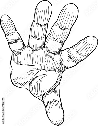Close-up of open hand indicating alt. Hand language. Black and white vector illustration, handheld view.