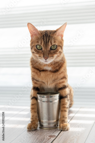 A cat with a disgruntled muzzle holds a tin can between its paws.