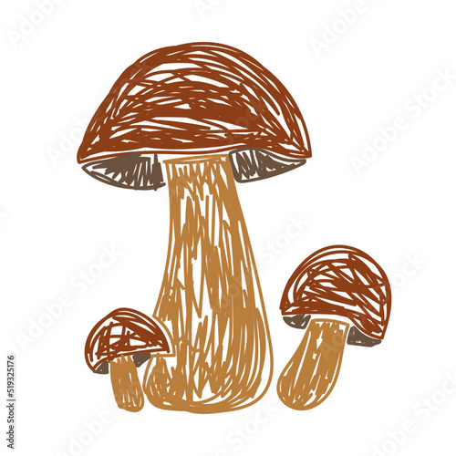 Mushroom. Boletus edulis. Hand drawn vector illustration. Pen or marker doodle sketch