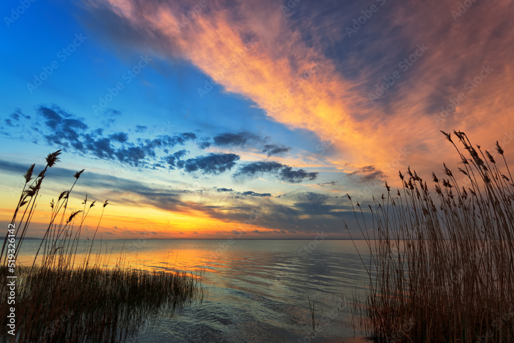 Sunrise over water with reeds on the shore, with reflections, soft focus Sunrise over water with reeds on the shore, with reflections, soft focus