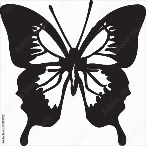 Vector, Image of butterfly icon, black and white color, transparent background

