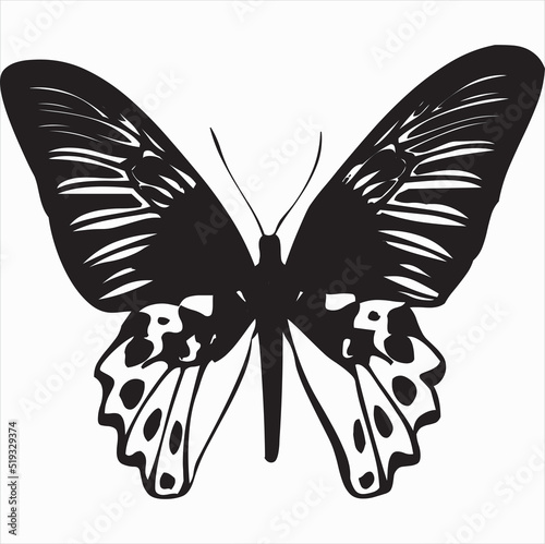 Vector, Image of butterfly, black and white color, with transparent background

