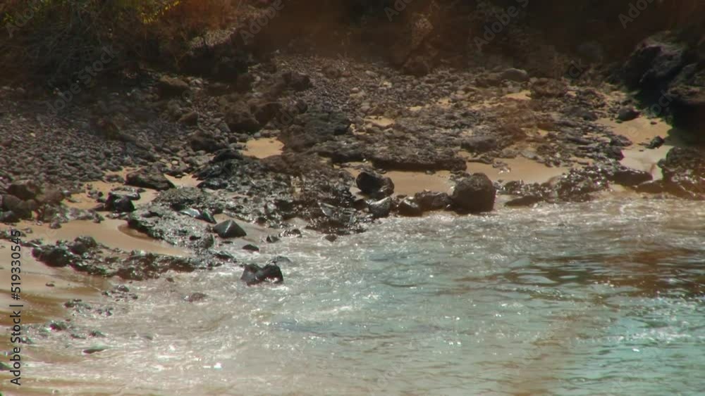 A rocky, volcanic beach on Sao Tome and Principe's shoreline - man fetching a bucket of water