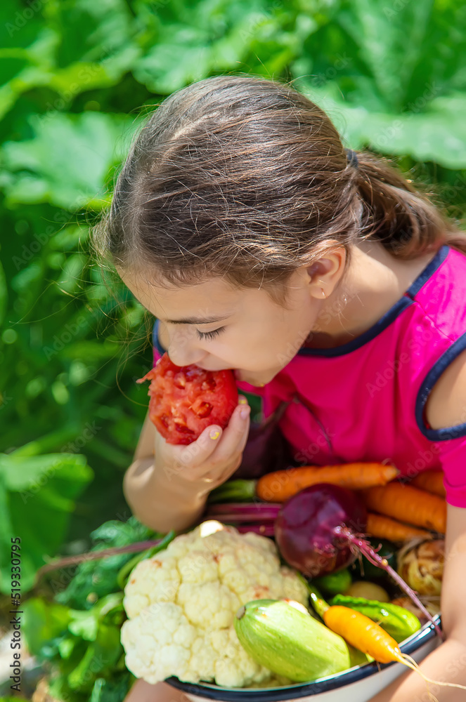 Child in the vegetable garden. selective focus. Child in the vegetable garden. selective focus.