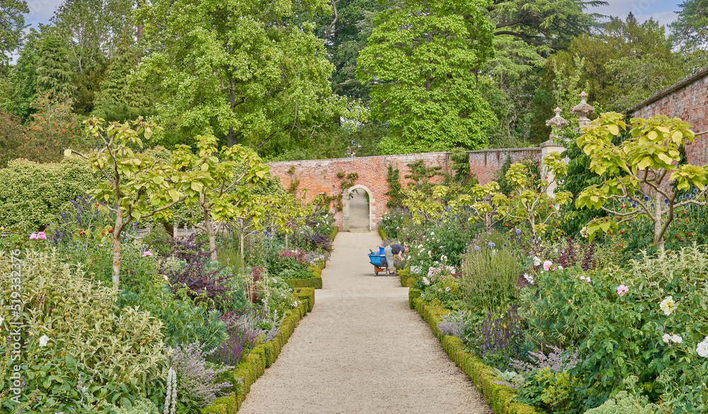 Gardening in a walled garden with gravel path and traditional herbacious perennial planting in summer