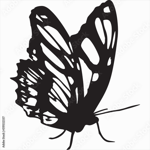 Vector, Image of butterfly, black and white color, with transparent background

