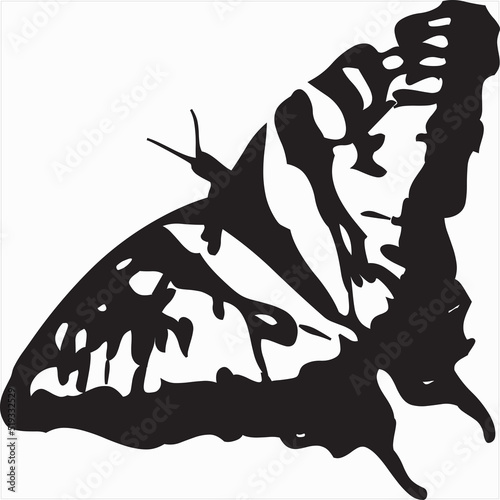 Vector, Image of butterfly, black and white color, with transparent background

