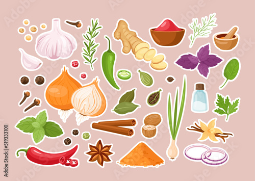 Spice and herb stickers. Vector set of kitchen herbs with vanilla, anise, ginger, cinnamon, curry, basil, garlic, bay leaves, pepper, rosemary. Popular indian spices for menu, pattern, background