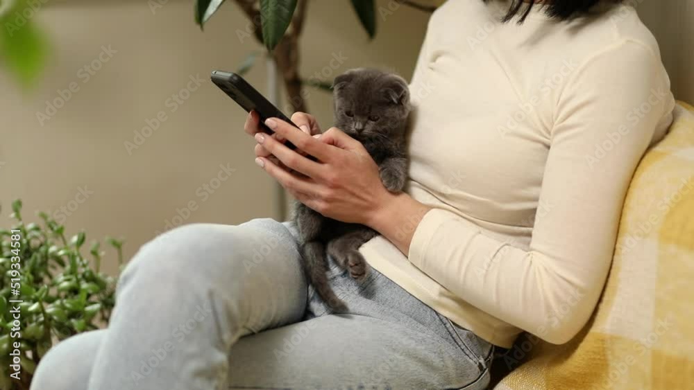 Woman with scottish kitten on the sofa using phone, browsing smartphone