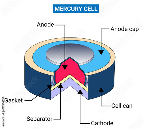 The Mercury cell is a type of dry cell consisting of zinc anode, mercuric oxide cathode and potassium hydroxide as an electrolyte. photo