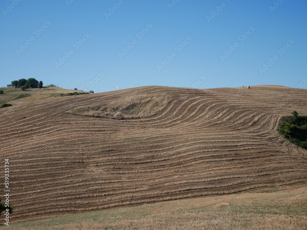 Obraz premium Valdichiana