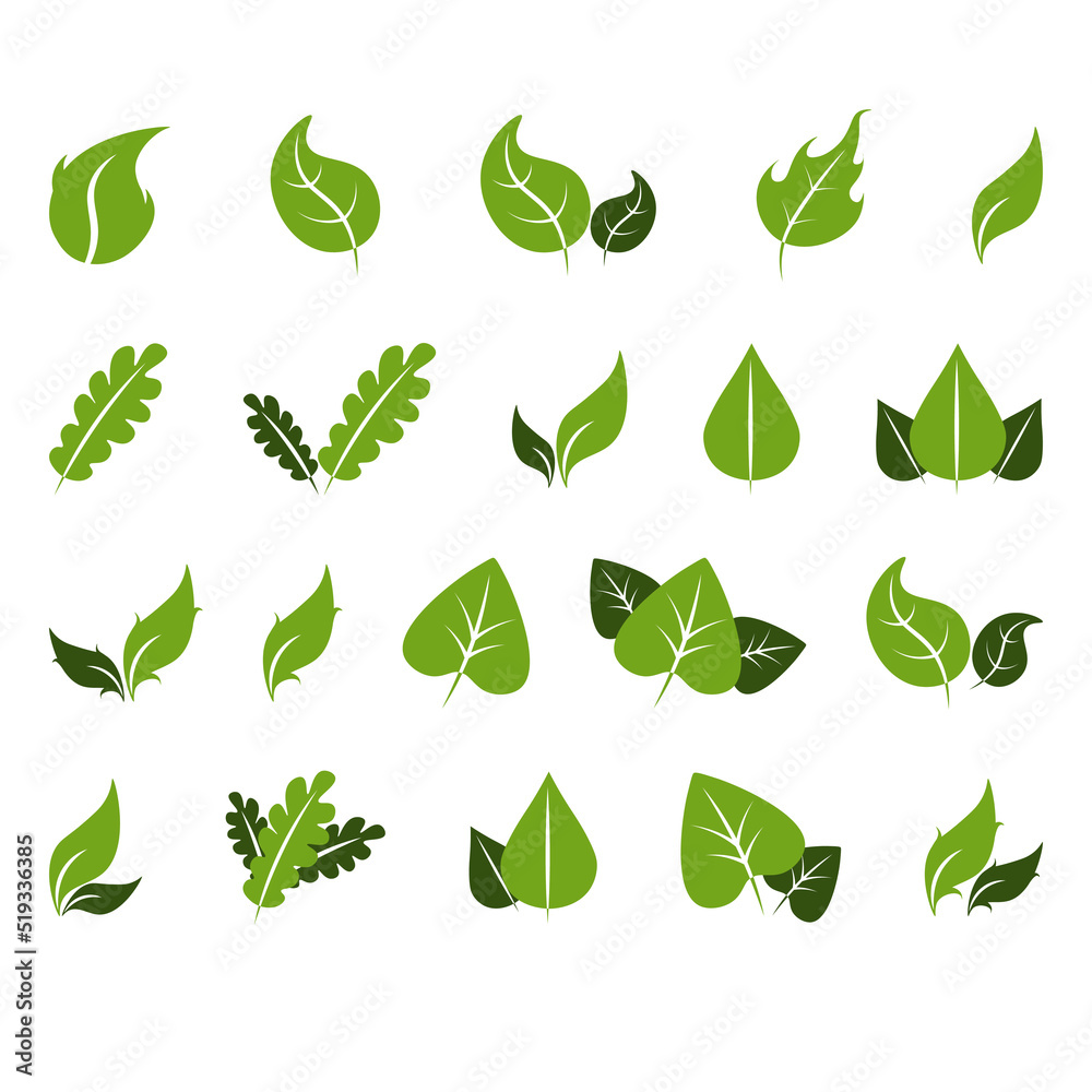 green leaf icons set on white background green leaf icons set on white background
