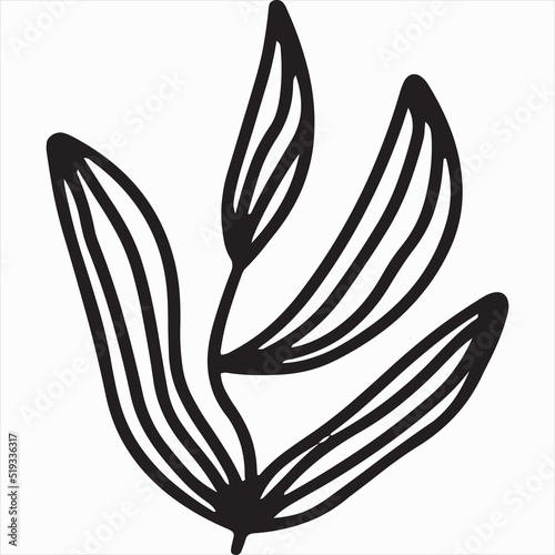 Vector, Image of flower plant icon, black and white color, with transparent background

