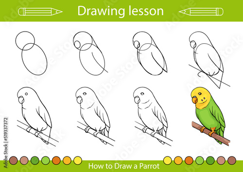 Tela Drawing tutorial