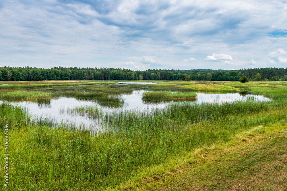 Echo ponds in the Roztocze National Park. Zwierzyniec, Poland