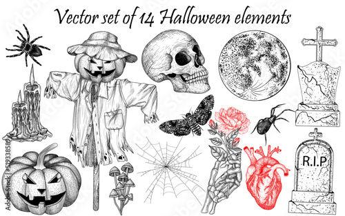 Vector set of 14 Halloween elements in engraving style. Graphic linear skull, carved pumpkin, scarecrow, mushrooms, human heart, tombstones, skeleton hand, cobweb, candles, spiders, moth