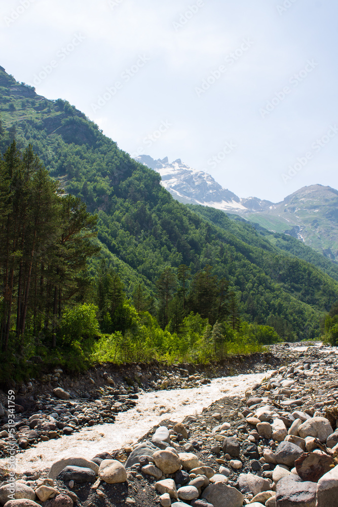 Obraz premium Mountain river Terskol among stones and lush foliage of green trees in the Elbrus mountains on a clear summer sunny day