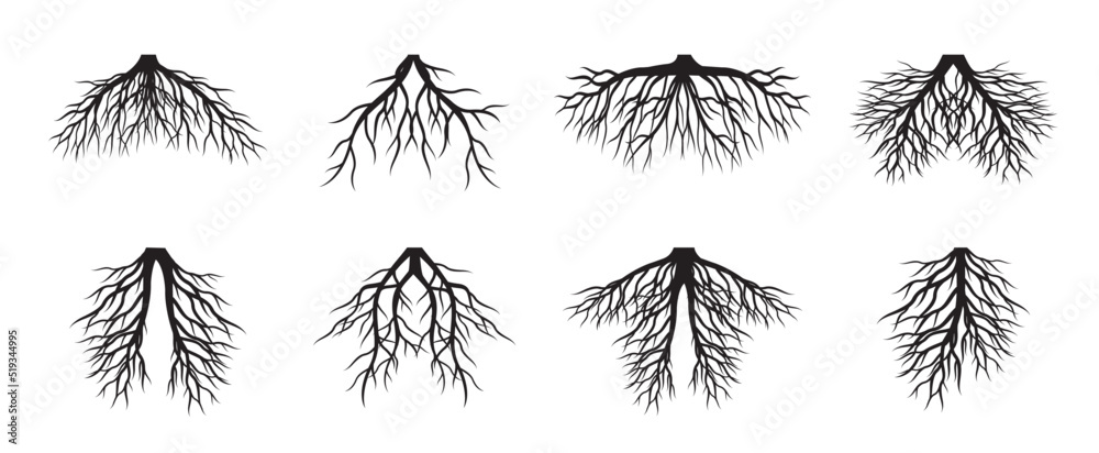Set black Roots. Vector graphic.