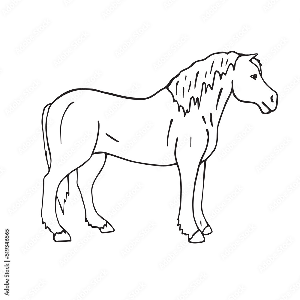 Vector hand drawn doodle sketch draft horse isolated on white background