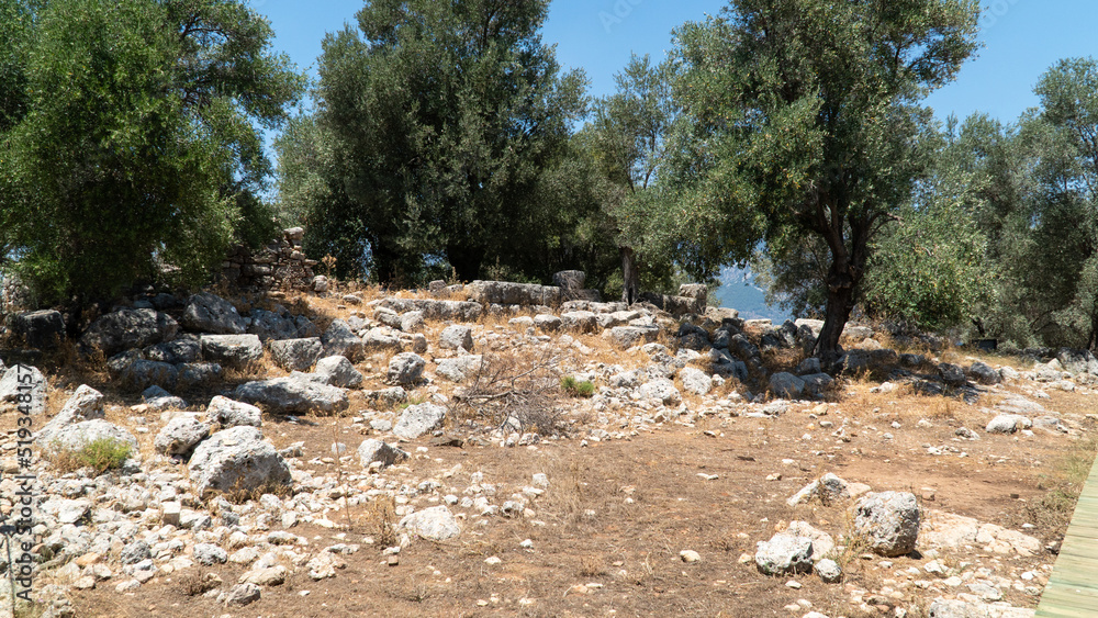 Fototapeta premium Ancient city of Kedrai in Sedir island, Turkey. Ancient ruins in Sedir island