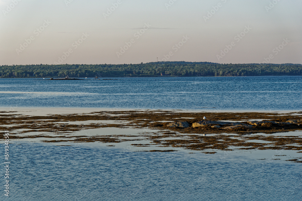 sunset on the coast of maine