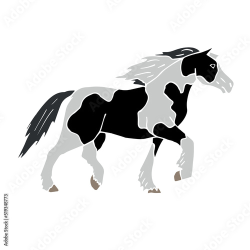 Vector hand drawn doodle sketch pinto gypsy horse isolated on white background