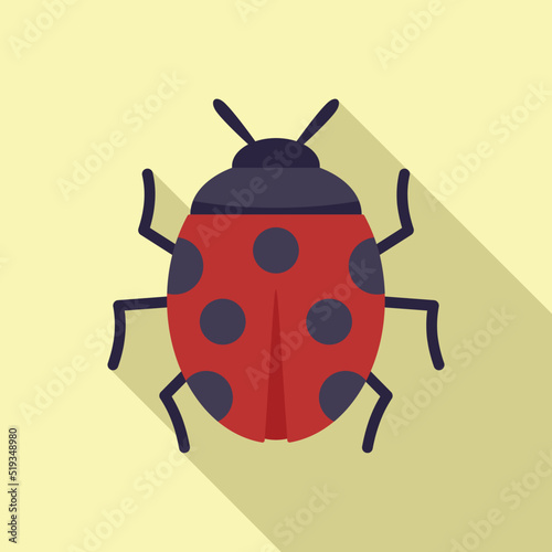 Luck ladybug icon flat vector. Japan fuji