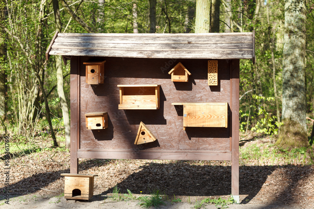 Wooden feeders for different birds. Wooden feeders for different birds.