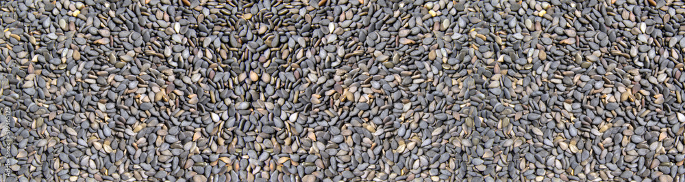 black sesame seeds close up. background with the image of black sesame. Banner for insertion into site. black sesame seeds close up. background with the image of black sesame. Banner for insertion into site.