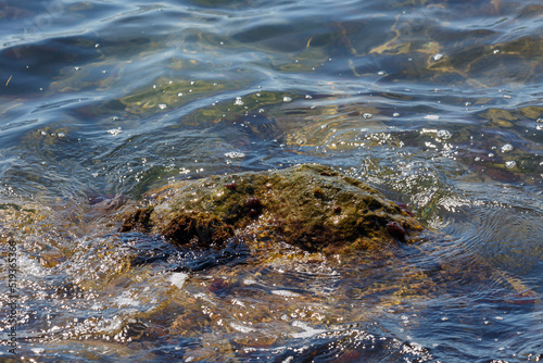 Waves hit a rock in the sea