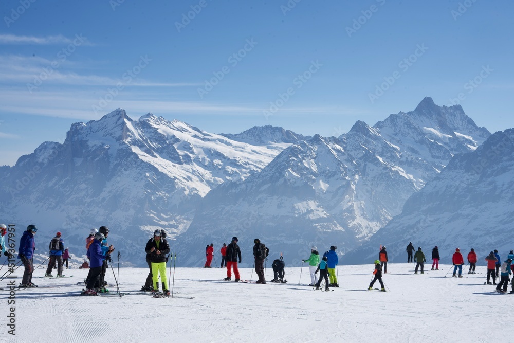 group of skiers on the mountain