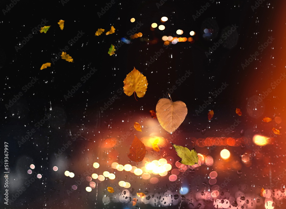 Autumn leaves on window rain drops and Autumn leaves fall night city traffic blurred light colorful reflection cold season background Autumn leaves on window rain drops and Autumn leaves fall night city traffic blurred light colorful reflection cold season background