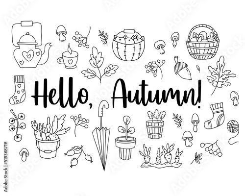 Hello autumn set hand doodles. wicker basket with mushrooms, picking vegetables, an acorn and mushrooms, flowerpot and an umbrella, teapot with cup and knitted socks. Vector Isolated outline elements.